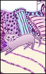 cat